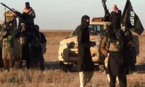 isis generico