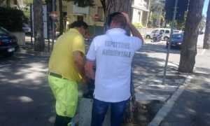 ispettore ambientale