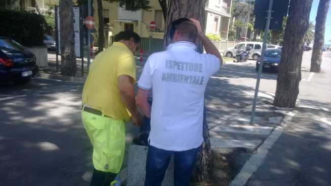 ispettore ambientale