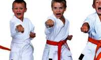 karate