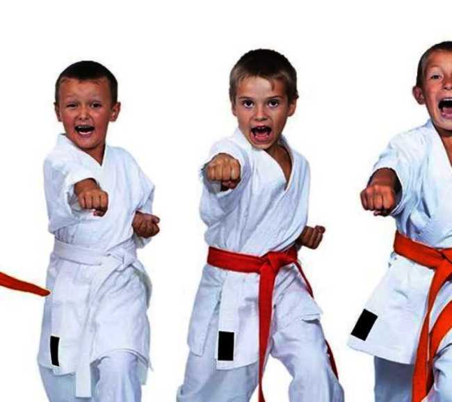 karate