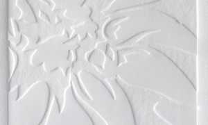 laboratoriocalcografico700