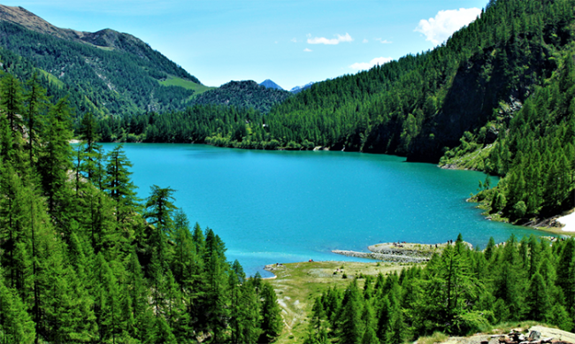 lafo cavalli andomia easytrek