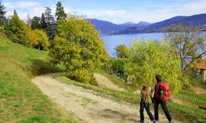 laghi distr