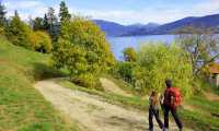 laghi distr