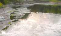 lago onzo inquinato