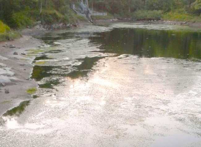 lago onzo inquinato