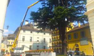 lavori luminarie albero cometa natale