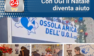 layout reel liberta copy 2