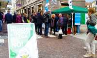 lega gazebo