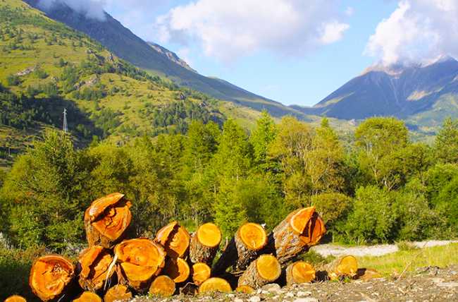 legna montagna