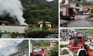 legnaia piedimulera mix