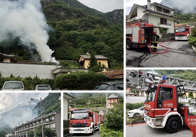 legnaia piedimulera mix