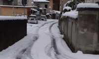 legro neve