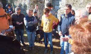 lesa cavallini incontro