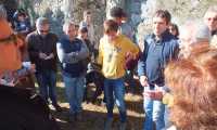 lesa cavallini incontro