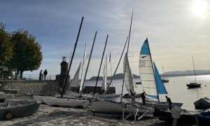 lesa regata. jpg