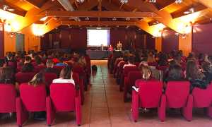 liberalis lions graffiti