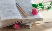 libro Gozzano700