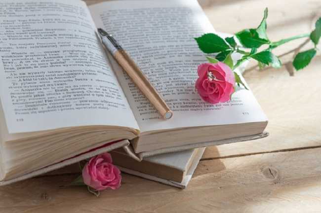 libro Gozzano700