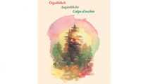 libro bacher