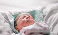 little girl 4402268 640