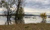 livello lago 4