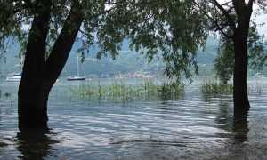livello lago giu 16