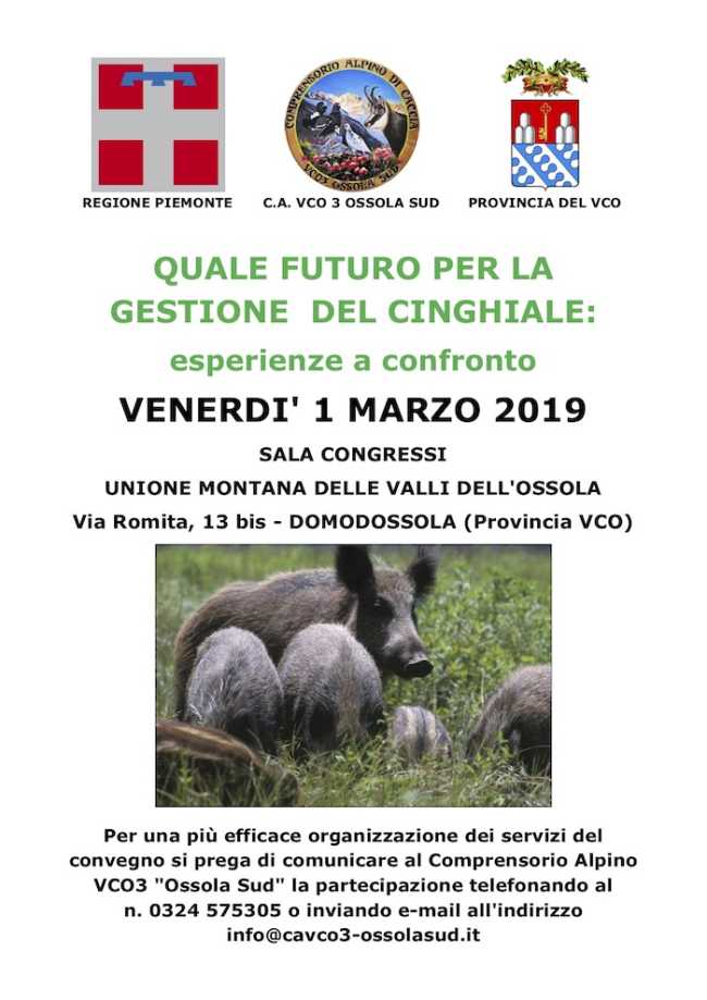 locandina cinghiale2019vco3a