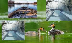 locandina mostra collettiva Ticino