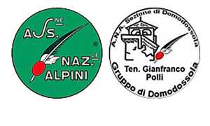 logo ana domo polli