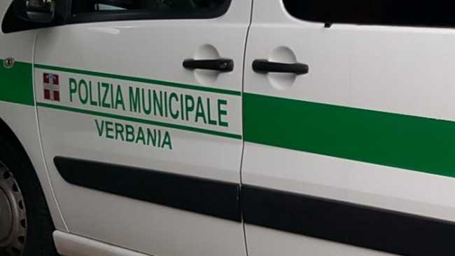 logo pl vb