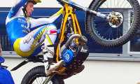 luca cotone trial