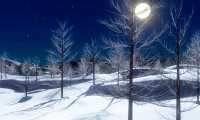 luna neve alberi notte