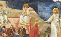 lungo giotto