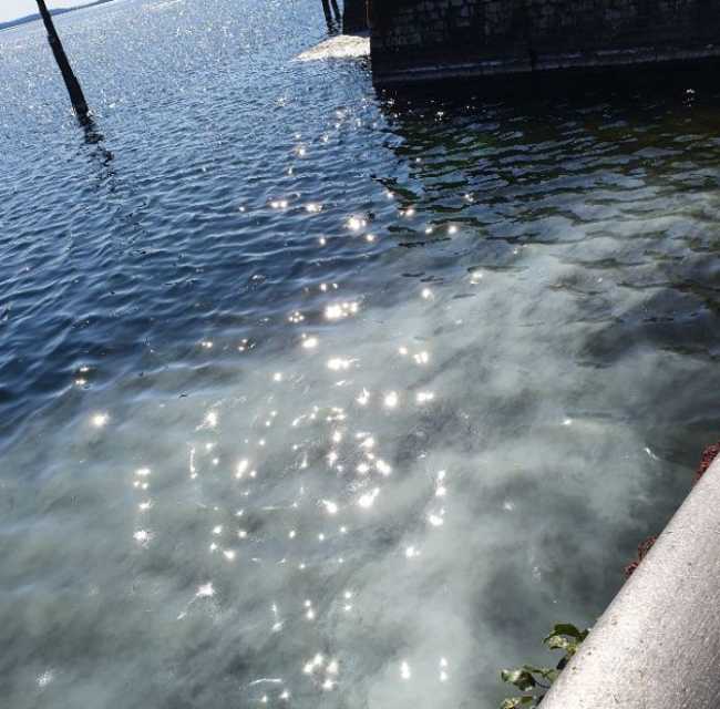 lungolago intra scia bianca 2020