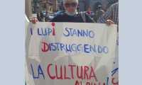 lupi cartello distruggendo