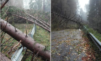 lusentino strada alberi caduti 18