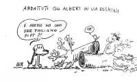 lux alberi