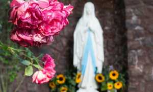 madonna di louredes1gozzano700