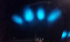 maggiore blu