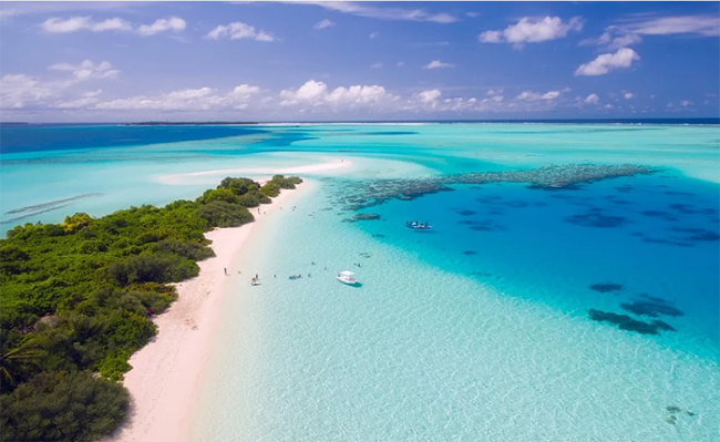 maldive mare
