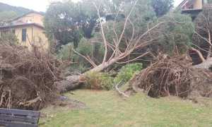 maltempo vb ago 19 8