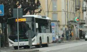 mameli bus