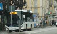 mameli bus