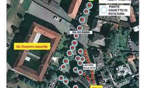 mappa potature alberi rosmini