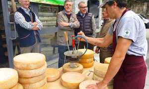 marchiatura bettelmatt crodo