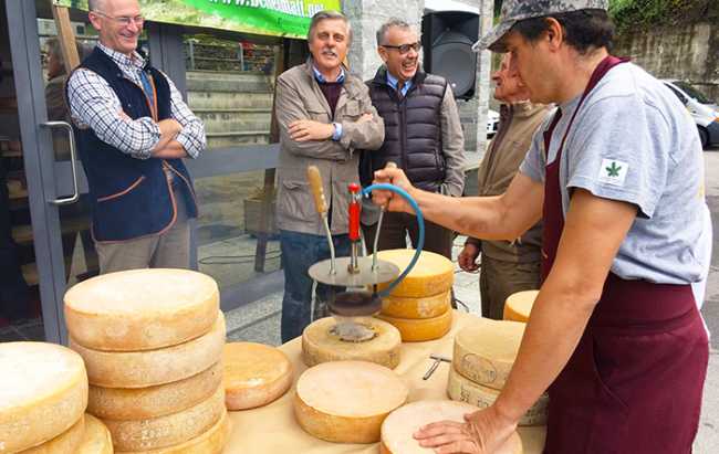 marchiatura bettelmatt crodo