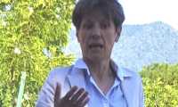 marchionini silvia