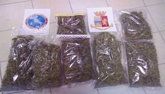 marijuana